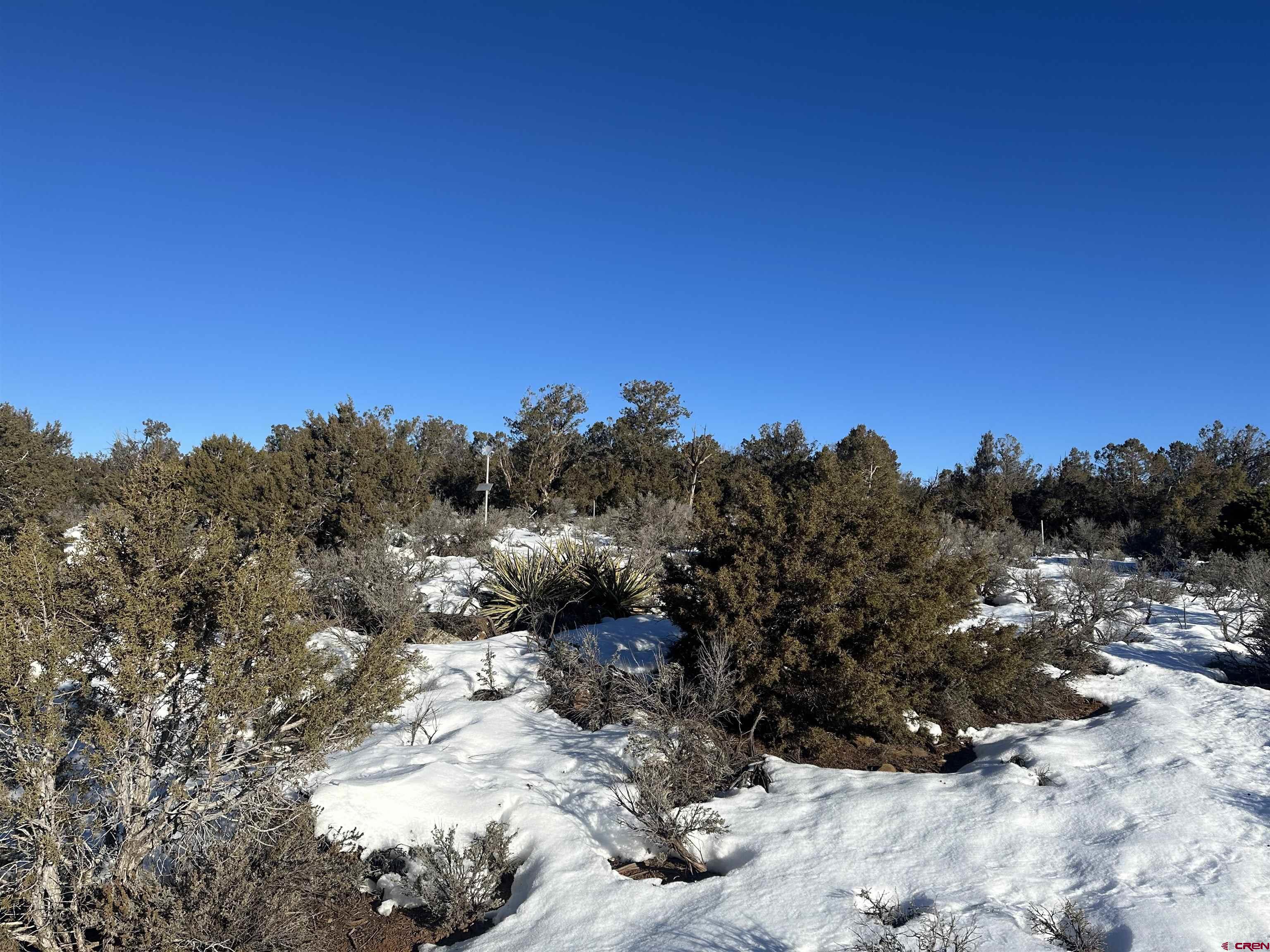 Tbd Rd K Cortez, CO 81321 - Photo 12 of 21