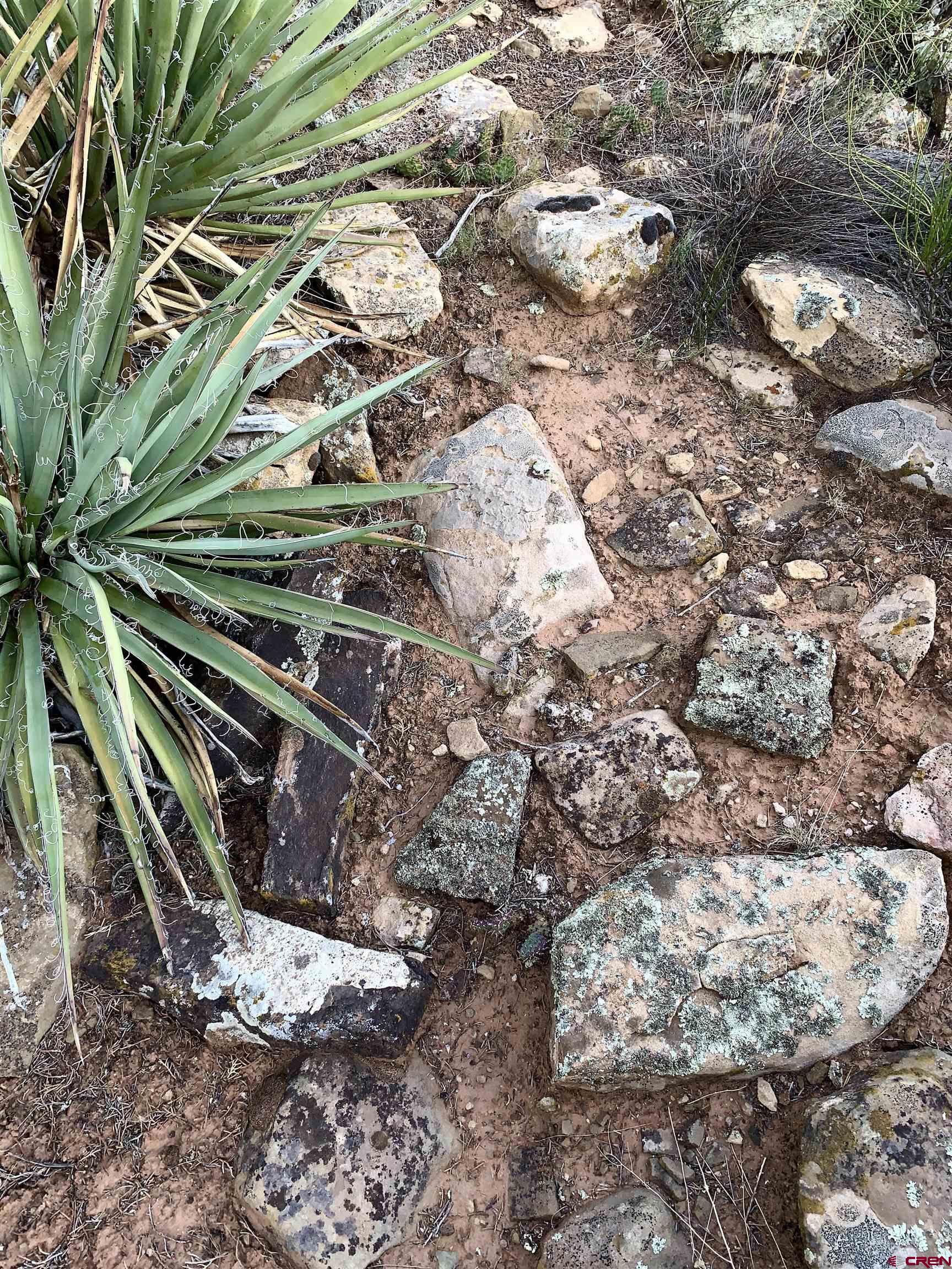 Tbd Rd K Cortez, CO 81321 - Photo 13 of 21 Ancient Site