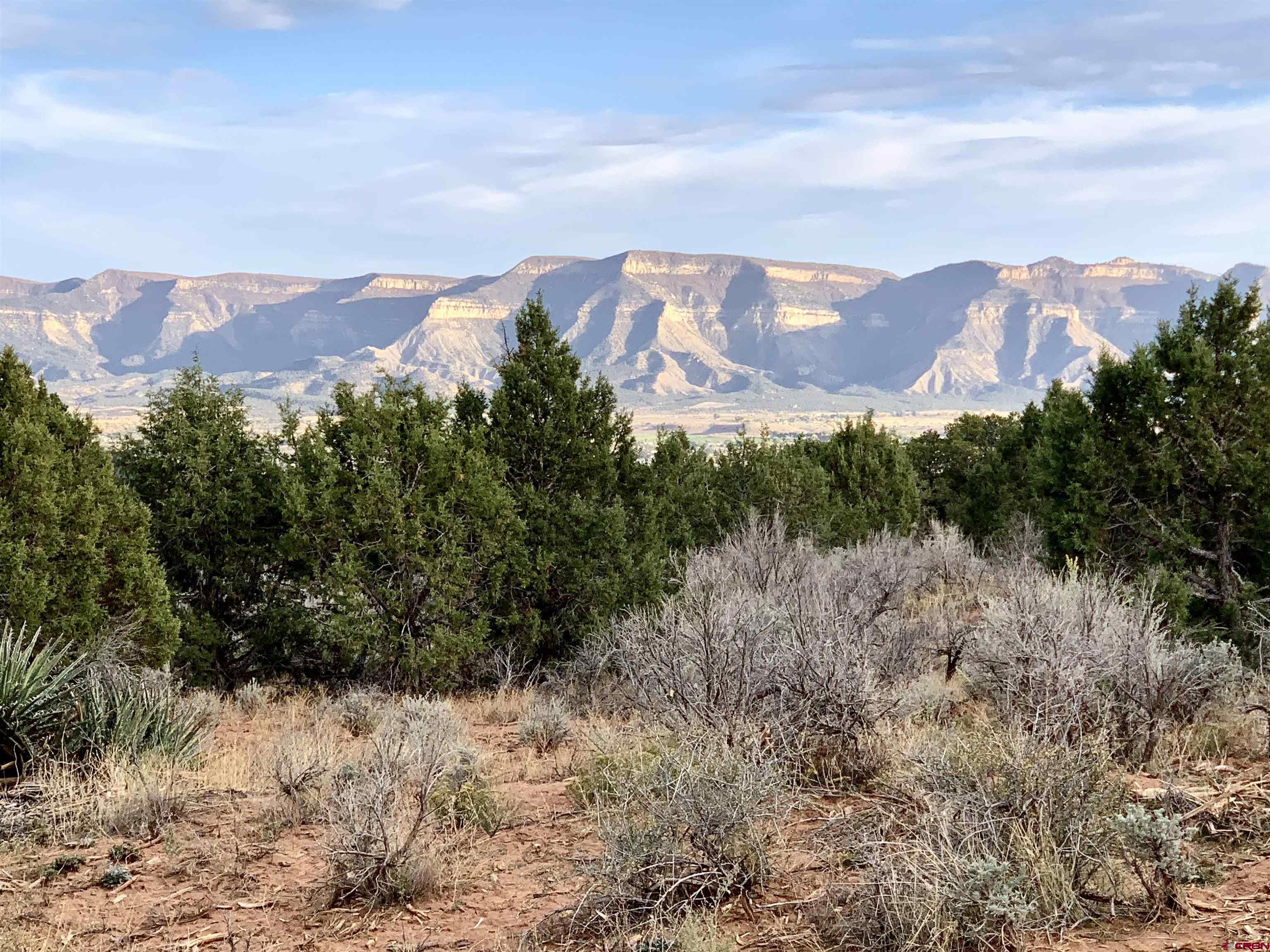 Tbd Rd K Cortez, CO 81321 - Photo 5 of 21