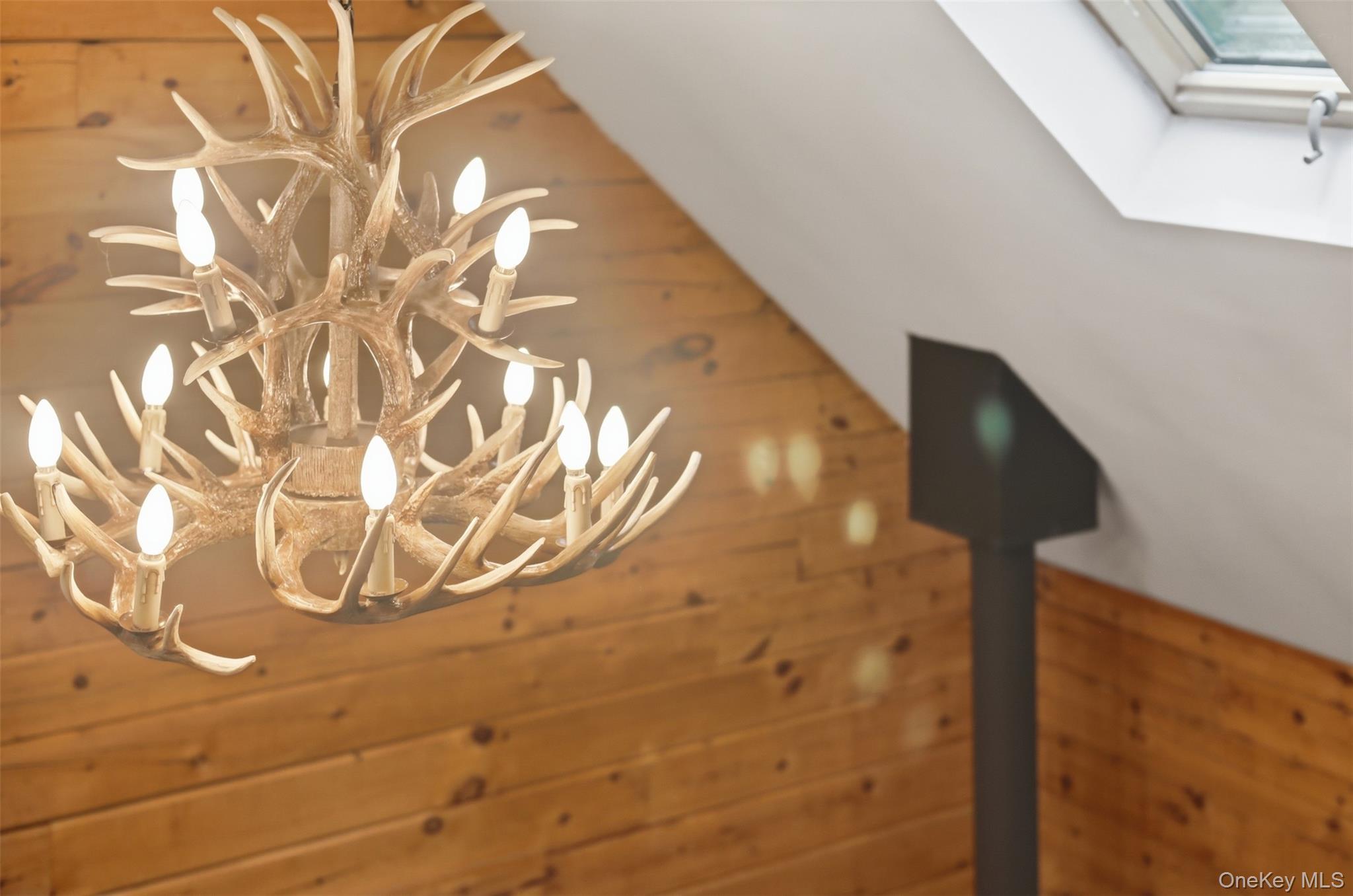 301 Pucky Huddle Road Bethel, NY 12720 - Photo 27 of 39 Antler chandelier