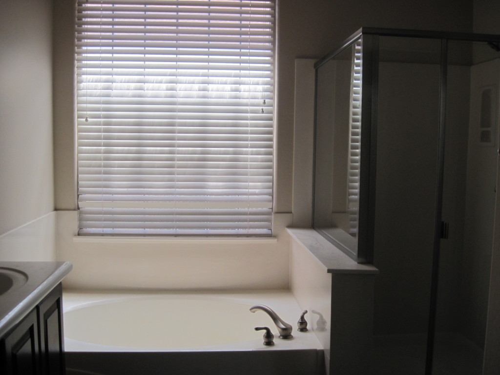 3413 West Florimond Road Phoenix, AZ 85086 - Photo 12 of 19 master tub and seperate shower