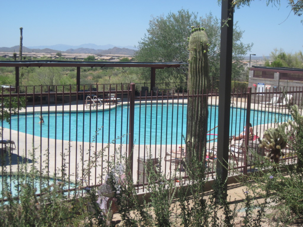 3413 West Florimond Road Phoenix, AZ 85086 - Photo 16 of 19 2nd community pool