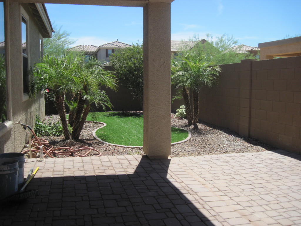 back yard