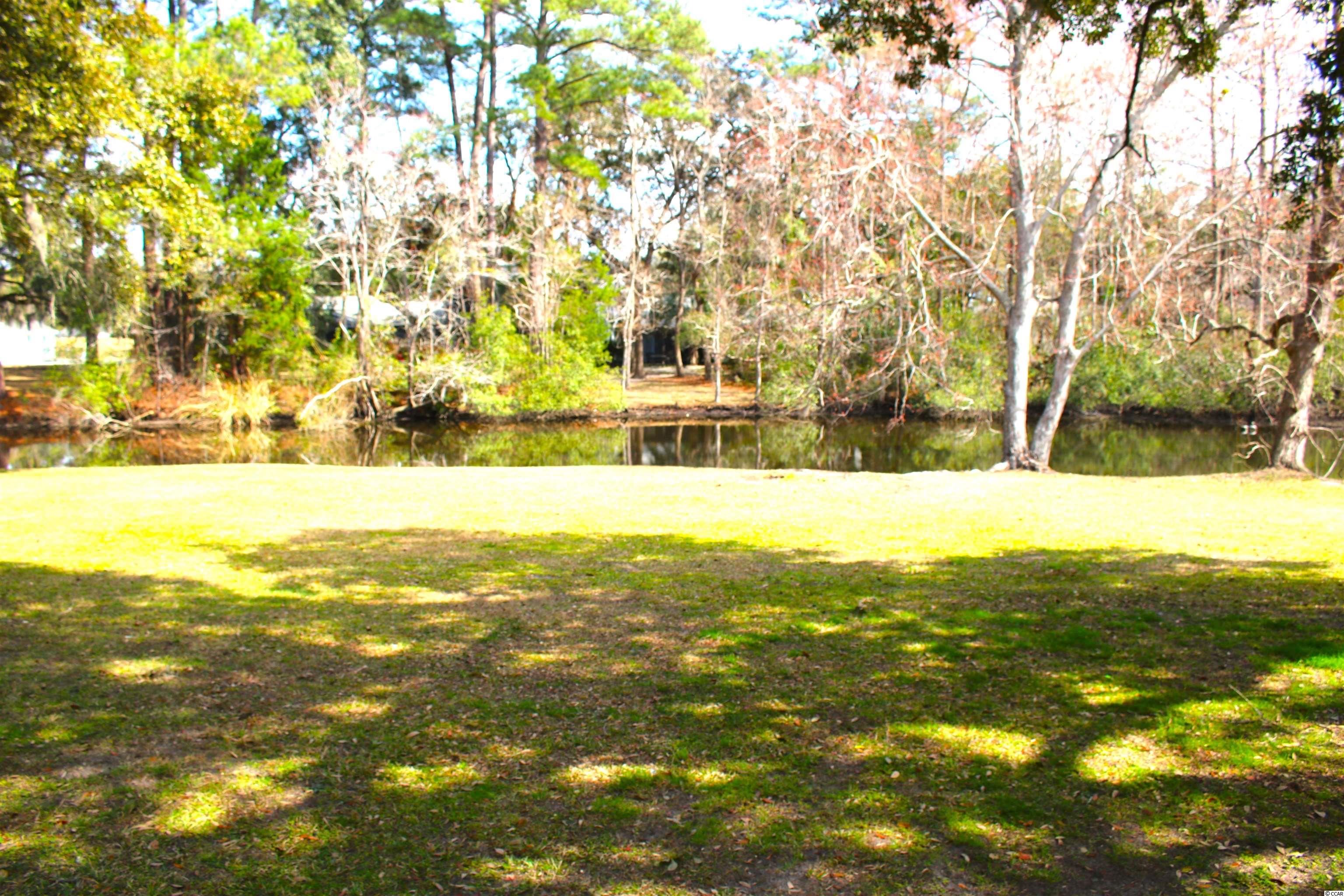 80 Wedgefield Village Road, Unit 46 Georgetown, SC 29440 - Photo 19 of 23