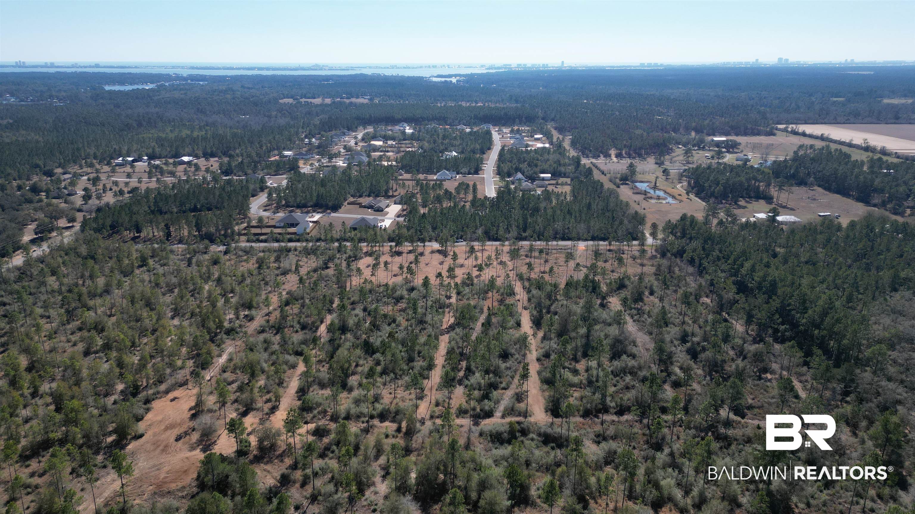 0 Archie Road Elberta, AL 36530 - Photo 15 of 16 Aerial view of a forest