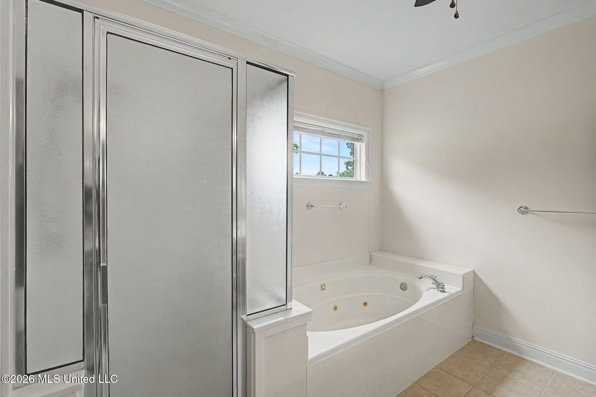 704 Shadow View Drive Hernando, MS 38632 - Photo 29 of 49 Separate tub and shower!