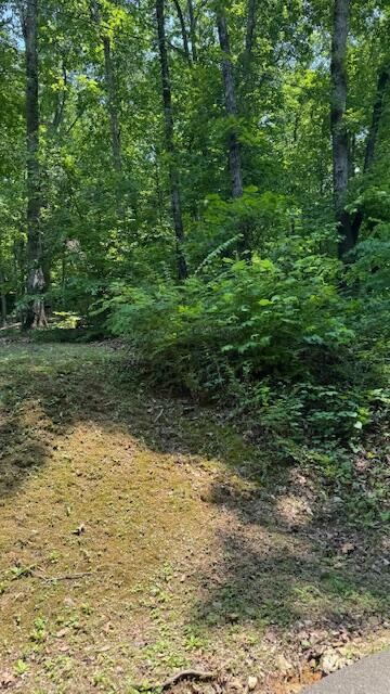 0 Ridgeway Drive Northwest Cleveland, TN 37312 - Photo 2 of 7 Gallery Image 2