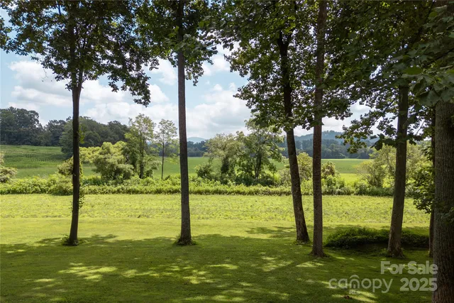 a view of an ocean from a yard
