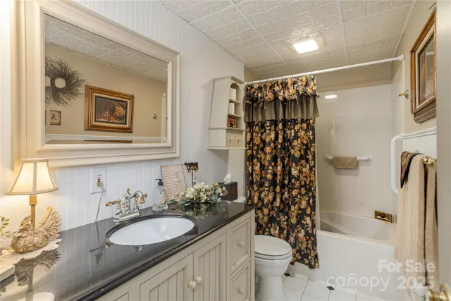 a bathroom with a sink a toilet and shower curtain