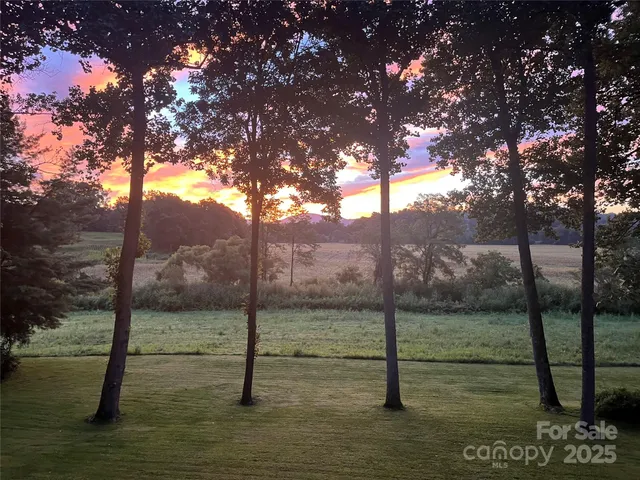 a view of a yard with a tree