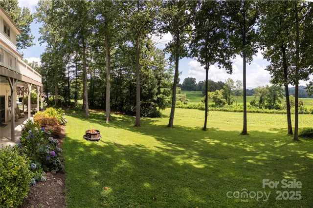 a view of a park with a tree