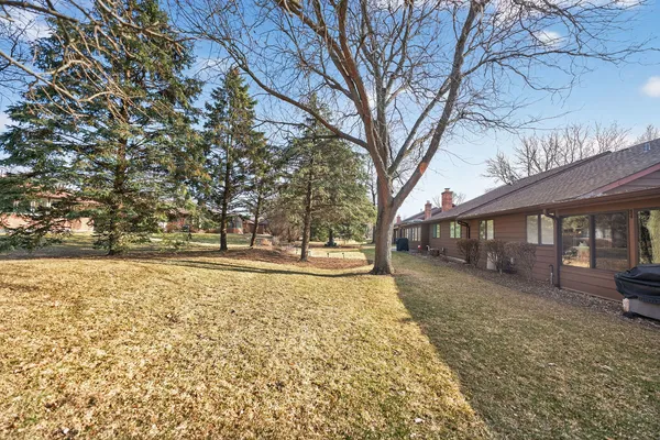 a view of yard with trees