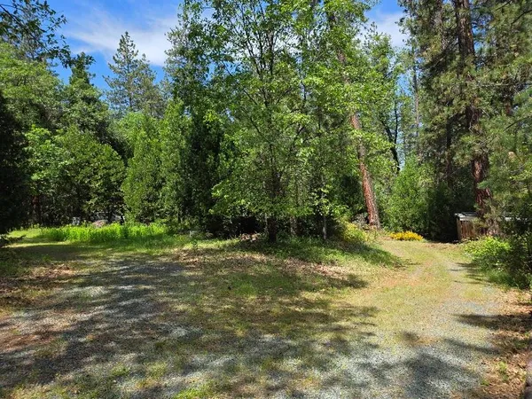 a bench sitting in the middle of a forest