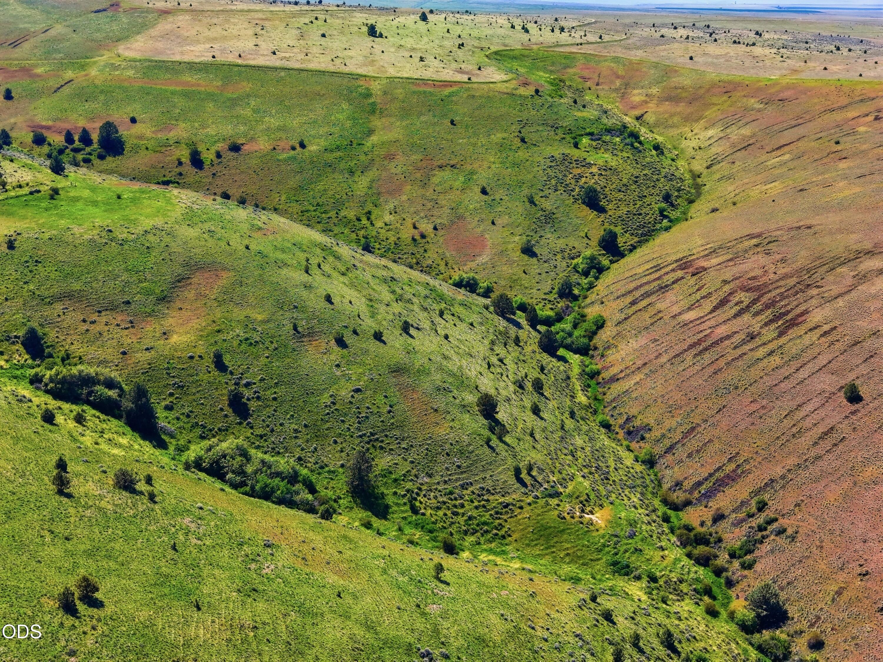 0 Badger Canyon Road Condon, OR 97823 - Photo 12 of 13 a view of a field with an ocean view