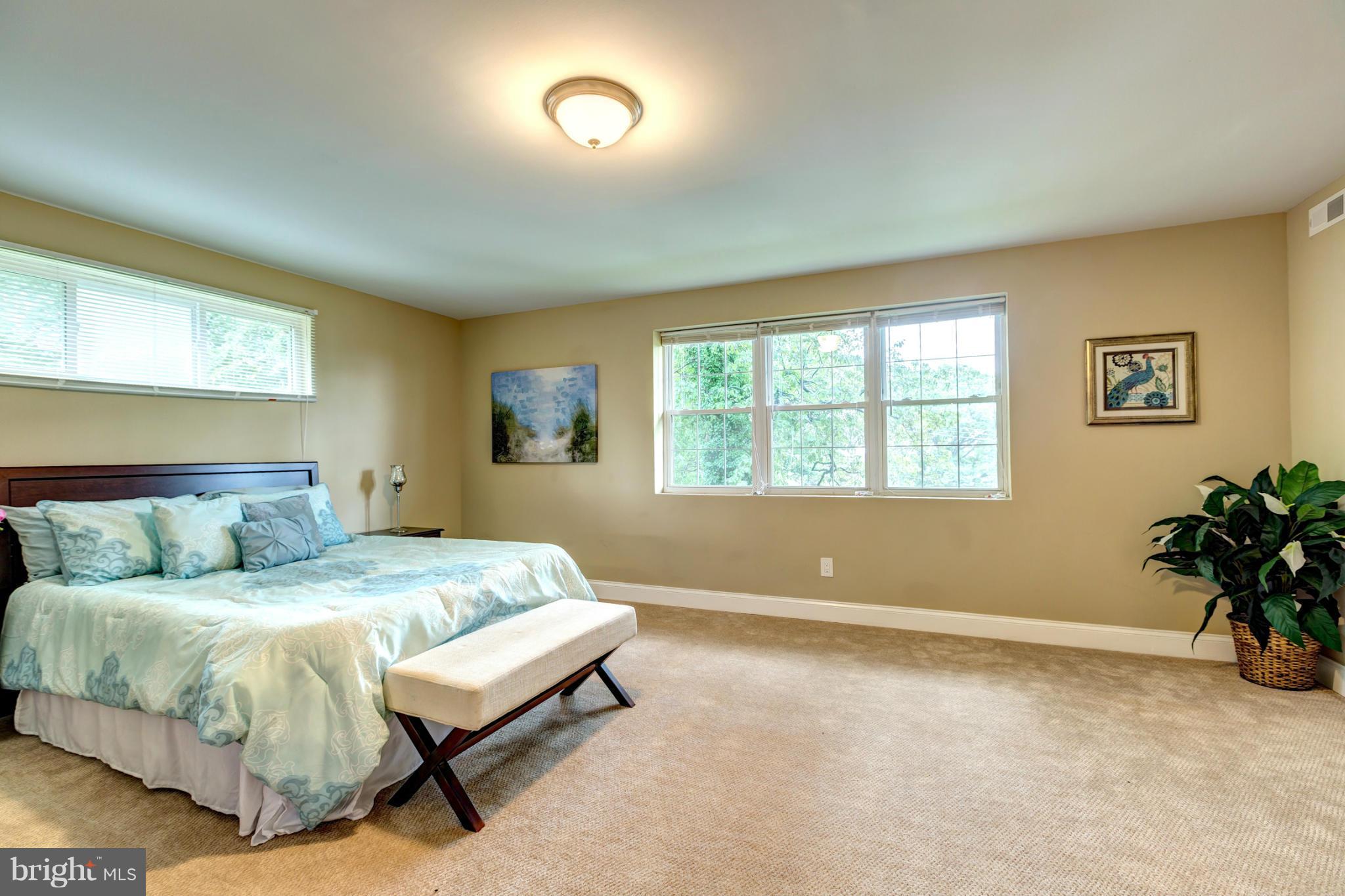 6108 Ridgeview Avenue Baltimore, MD 21206 - Photo 11 of 29 Master Bedroom with Lots of Natural Light