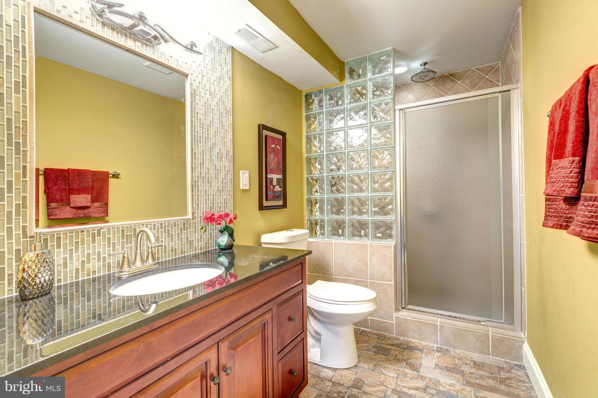 6108 Ridgeview Avenue Baltimore, MD 21206 - Photo 13 of 29 Luxurious Master Bathroom