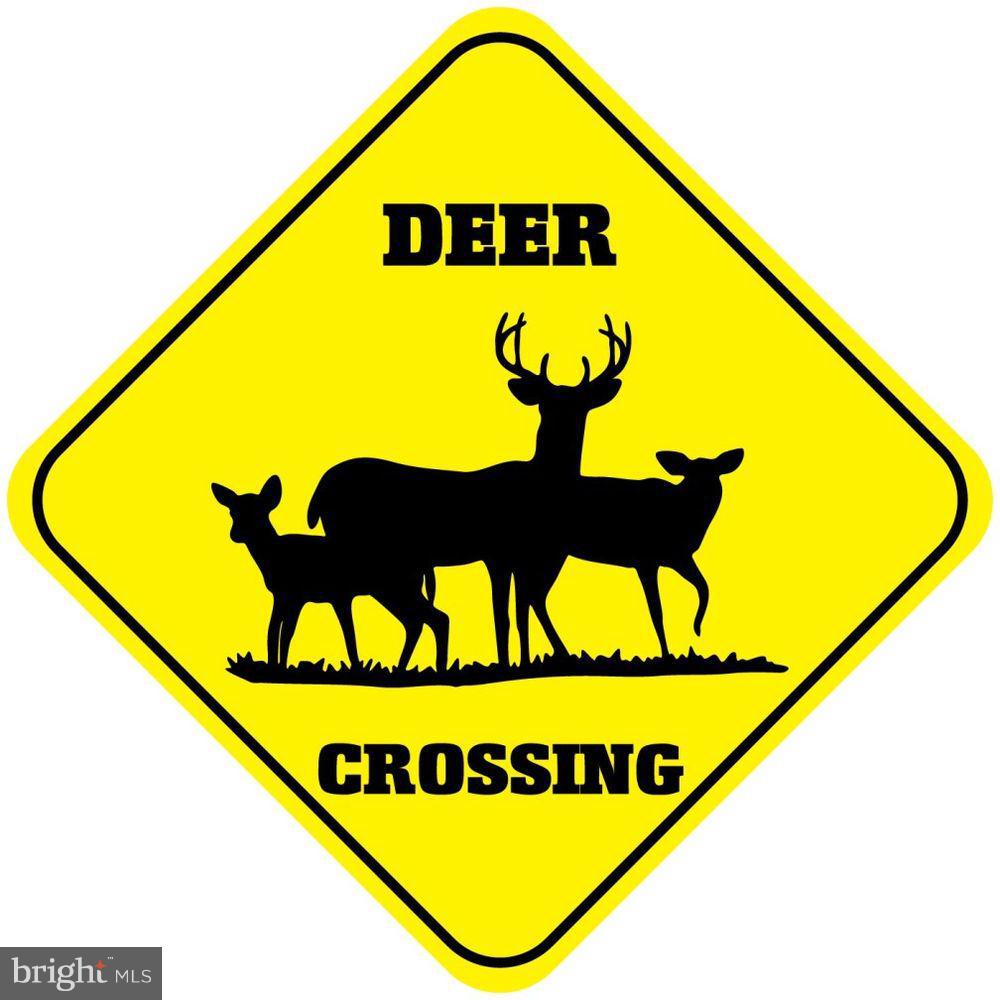 1724 Courthouse Road Stafford, VA 22554 - Photo 29 of 30 Deer Crossing - Non HOA - Large lots