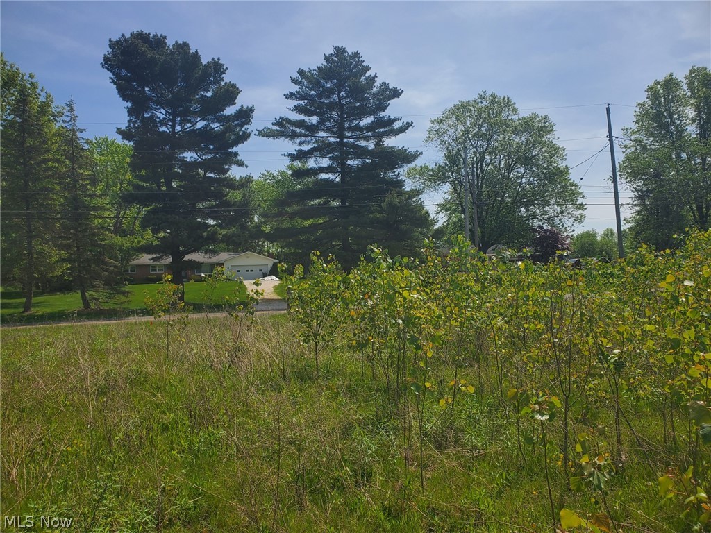 3 Beach Road Wadsworth, OH 44281 - Photo 9 of 9 View toward front of property looking east