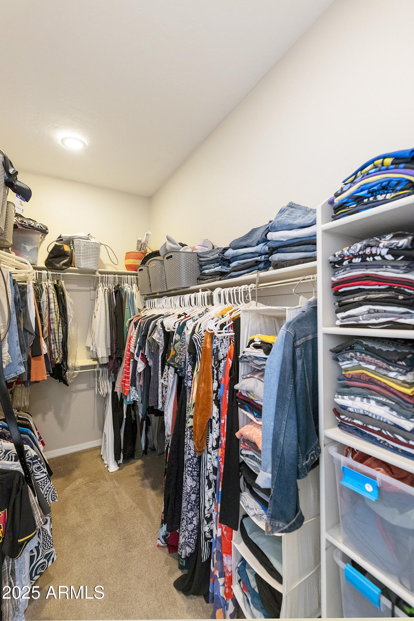 1517 West Redondo Drive Gilbert, AZ 85233 - Photo 22 of 55 a view of walk in closet with clothes and shoes