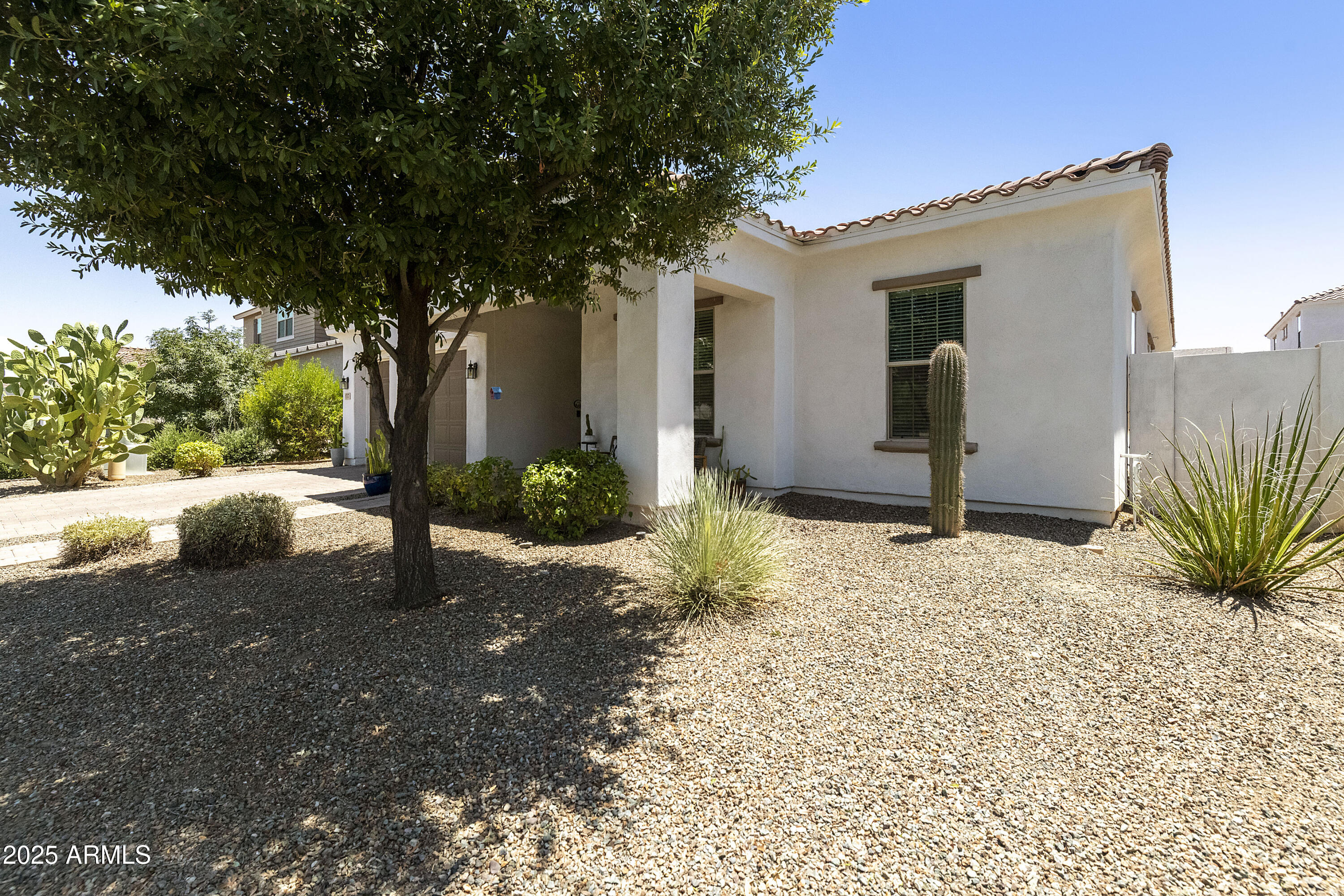 1517 West Redondo Drive Gilbert, AZ 85233 - Photo 42 of 55 a tree in front of a white house