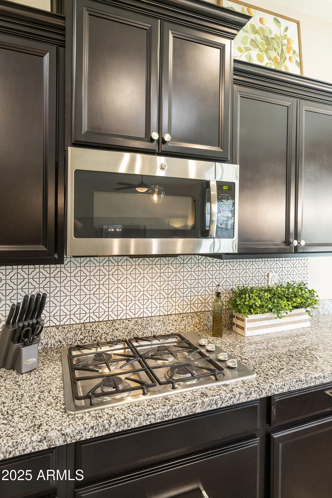 1517 West Redondo Drive Gilbert, AZ 85233 - Photo 9 of 55 DLB_1860