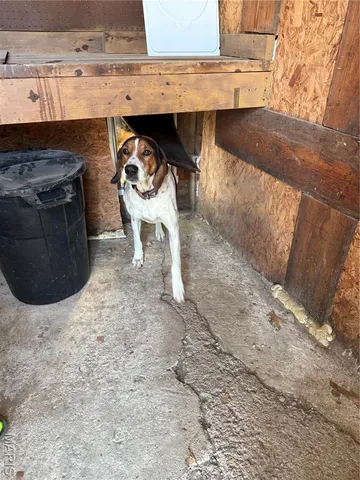 $205,000 | 211 Macarthur Street, Newburg, MO 65550