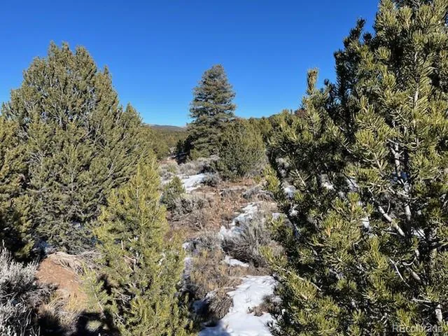 a view of a tree with a yard