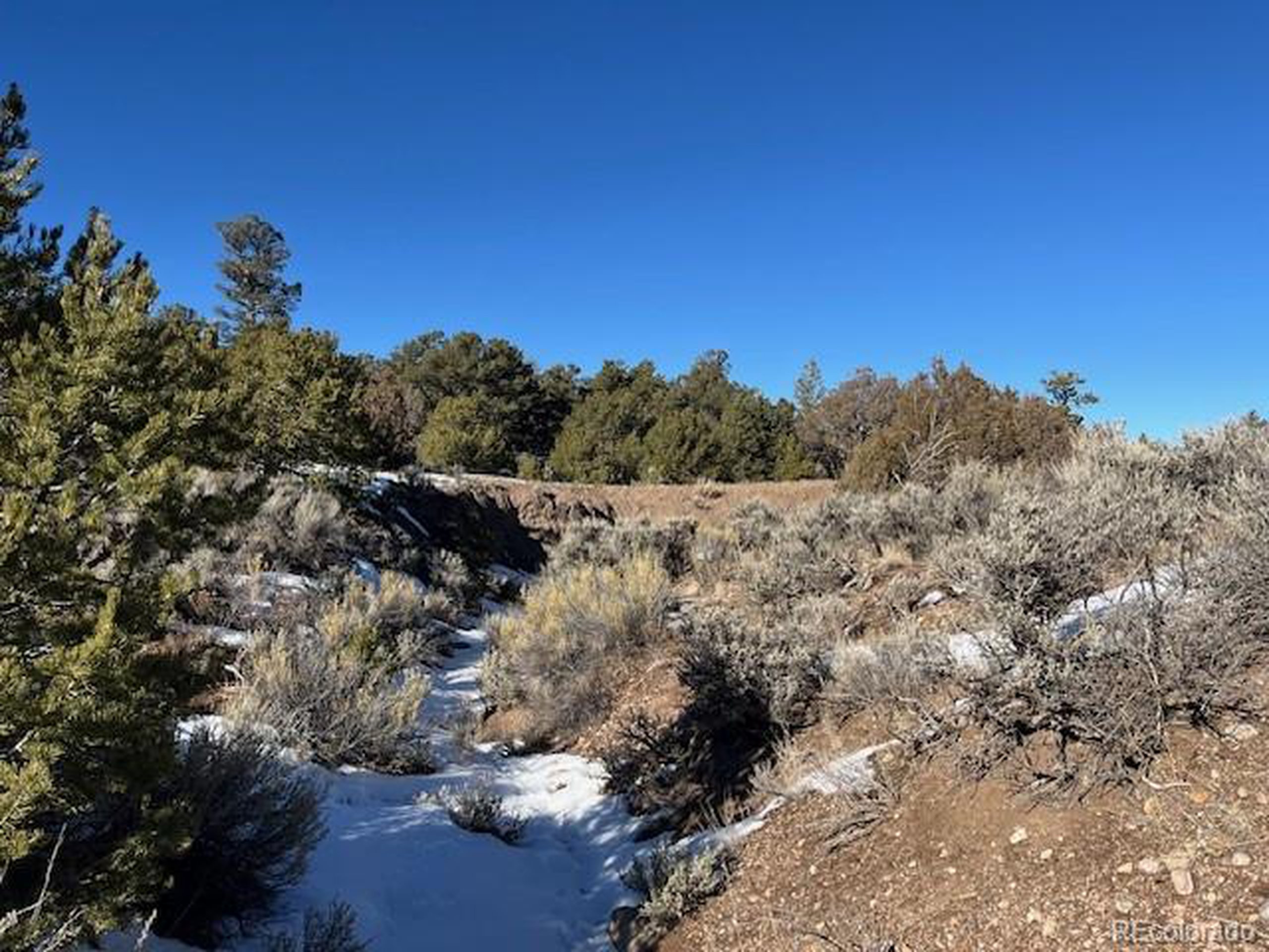 7860 Platten Road Fort Garland, CO 81133 - Photo 15 of 27 a view of a field with a tree in the background