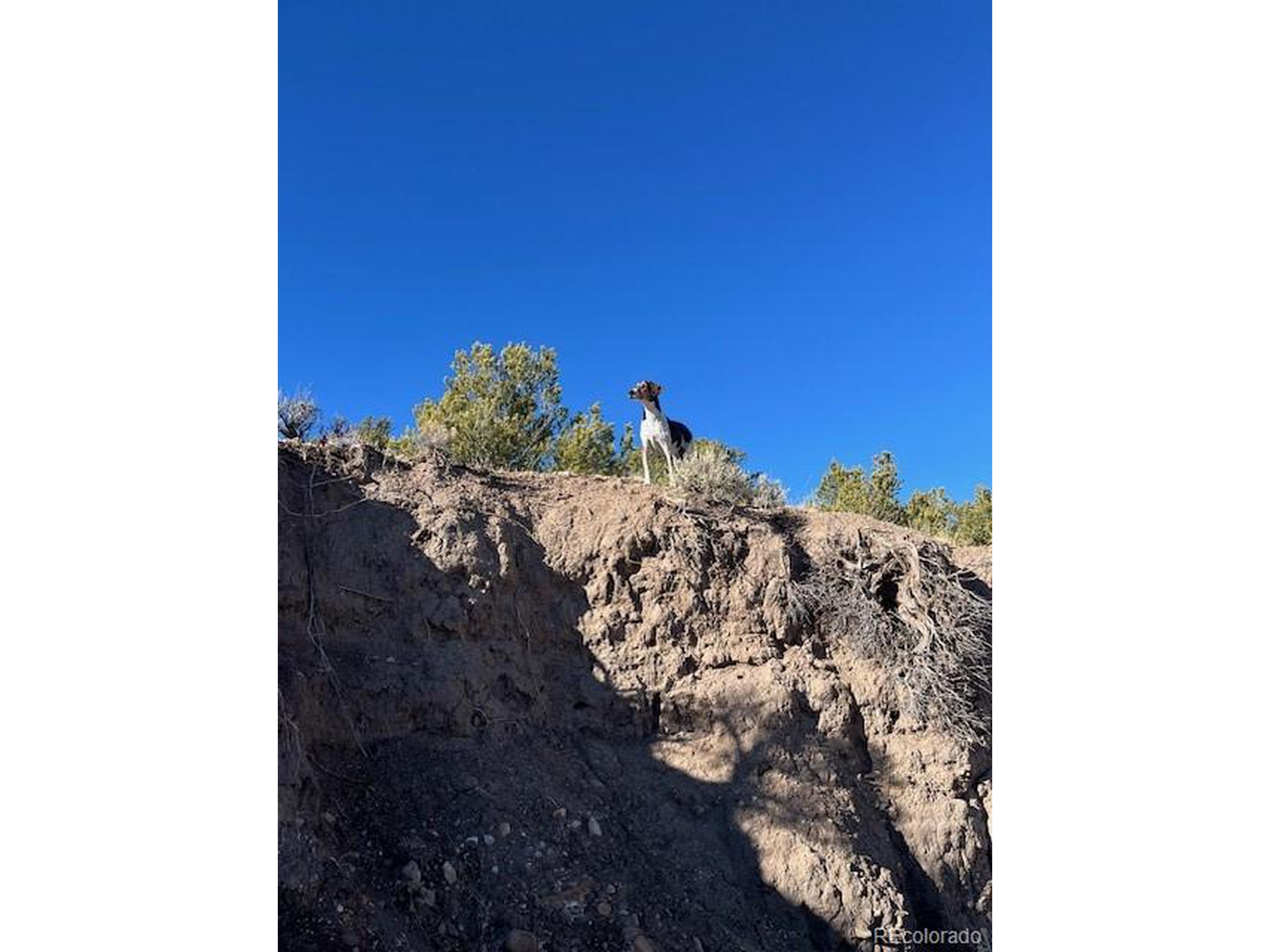 7860 Platten Road Fort Garland, CO 81133 - Photo 20 of 27 a view of a sky view