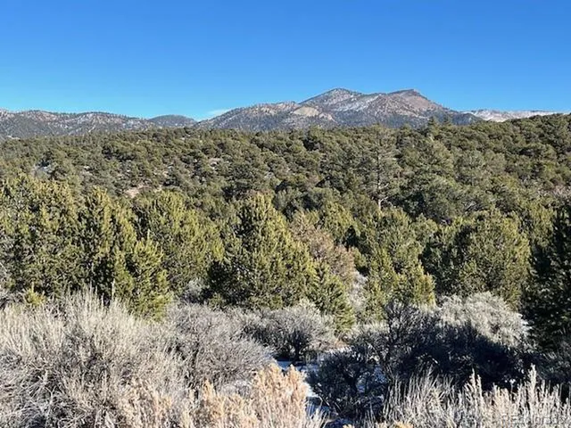 a view of a mountain in the distance in a field