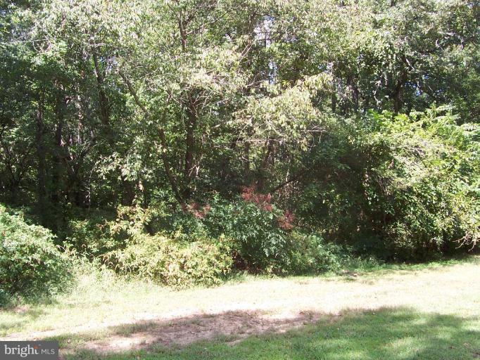 0 Ganeys Wharf Road Preston, MD 21655 - Photo 2 of 7 Exterior #2