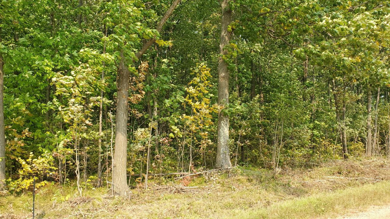 0 Cth X Gleason, WI 54435 - Photo 2 of 8 Gallery Image 2