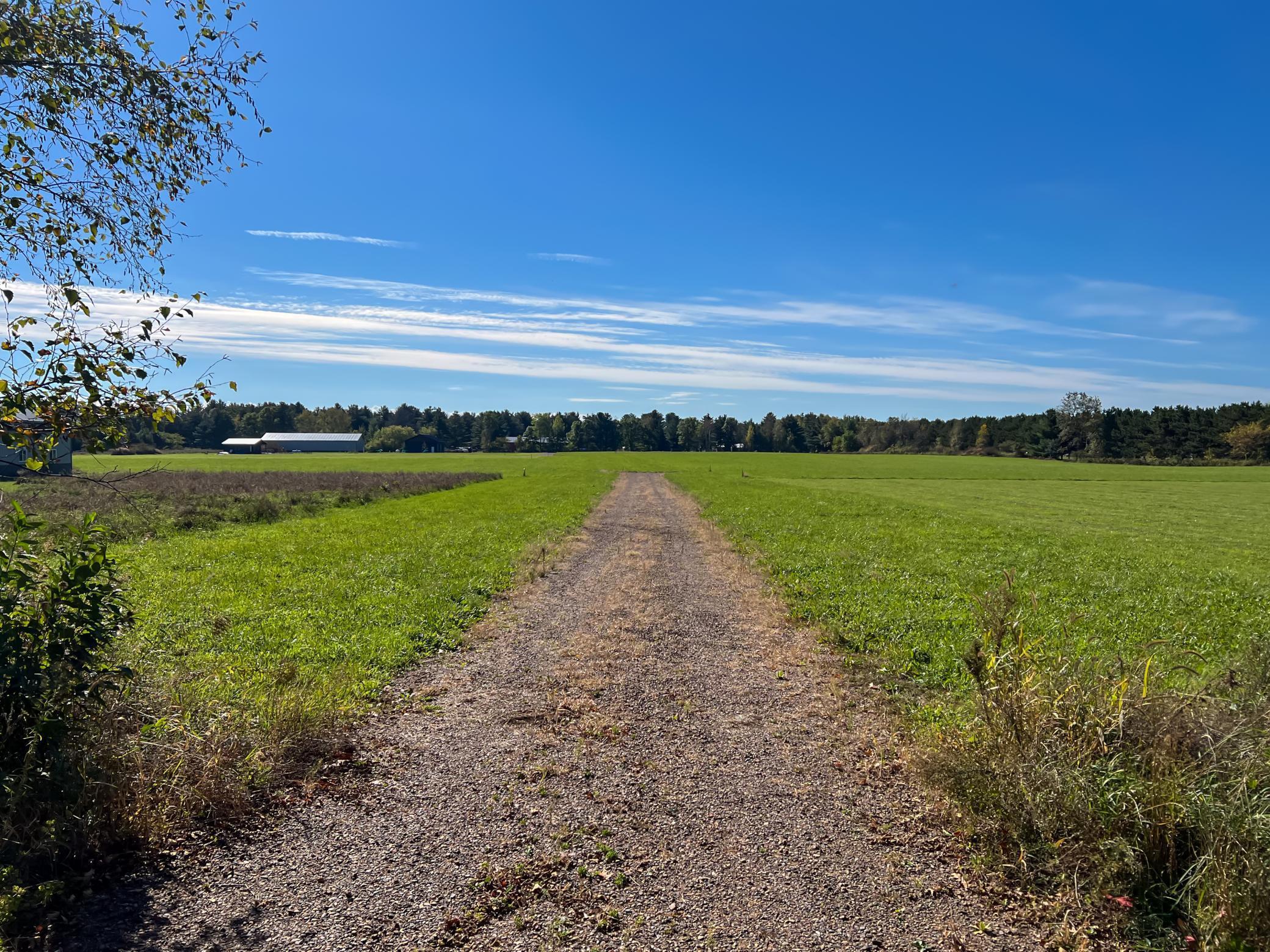 Lot 1 9th Avenue Chetek, WI 54728 - Photo 6 of 23