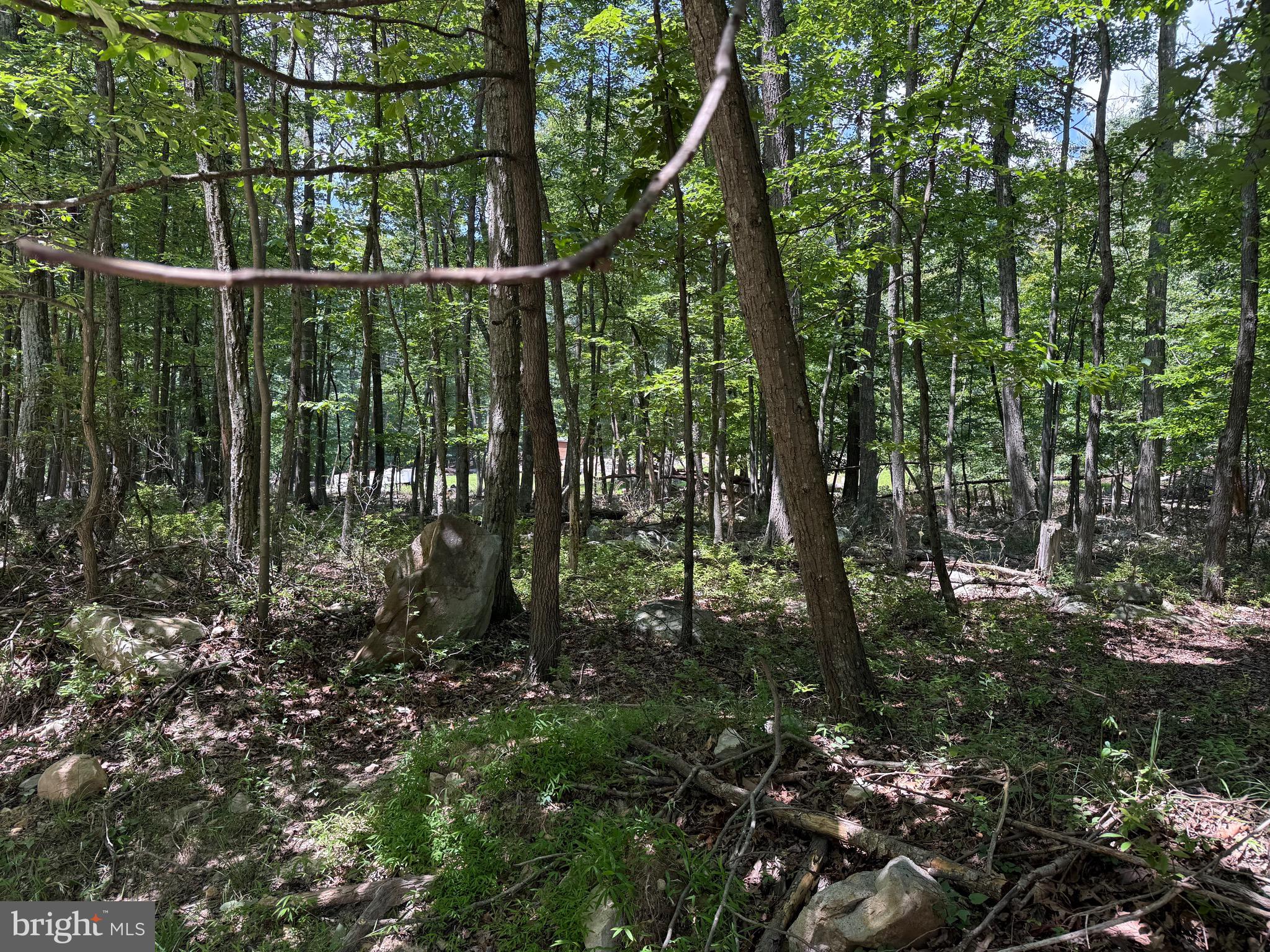 Roberts Road Great Cacapon, WV 25422 - Photo 5 of 9