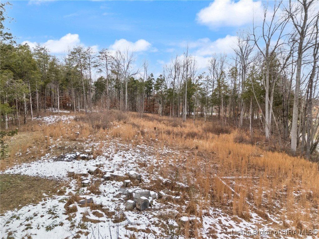 Pleasant Grove Road Mauckport, IN 47142 - Photo 17 of 23