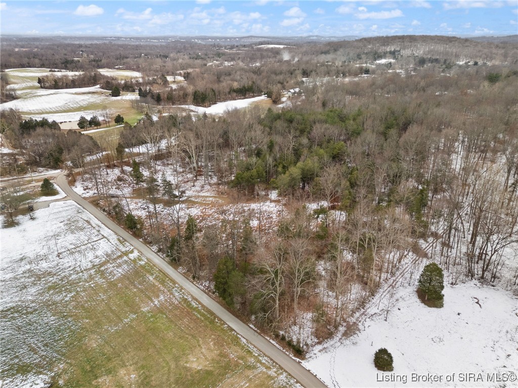 Pleasant Grove Road Mauckport, IN 47142 - Photo 10 of 23