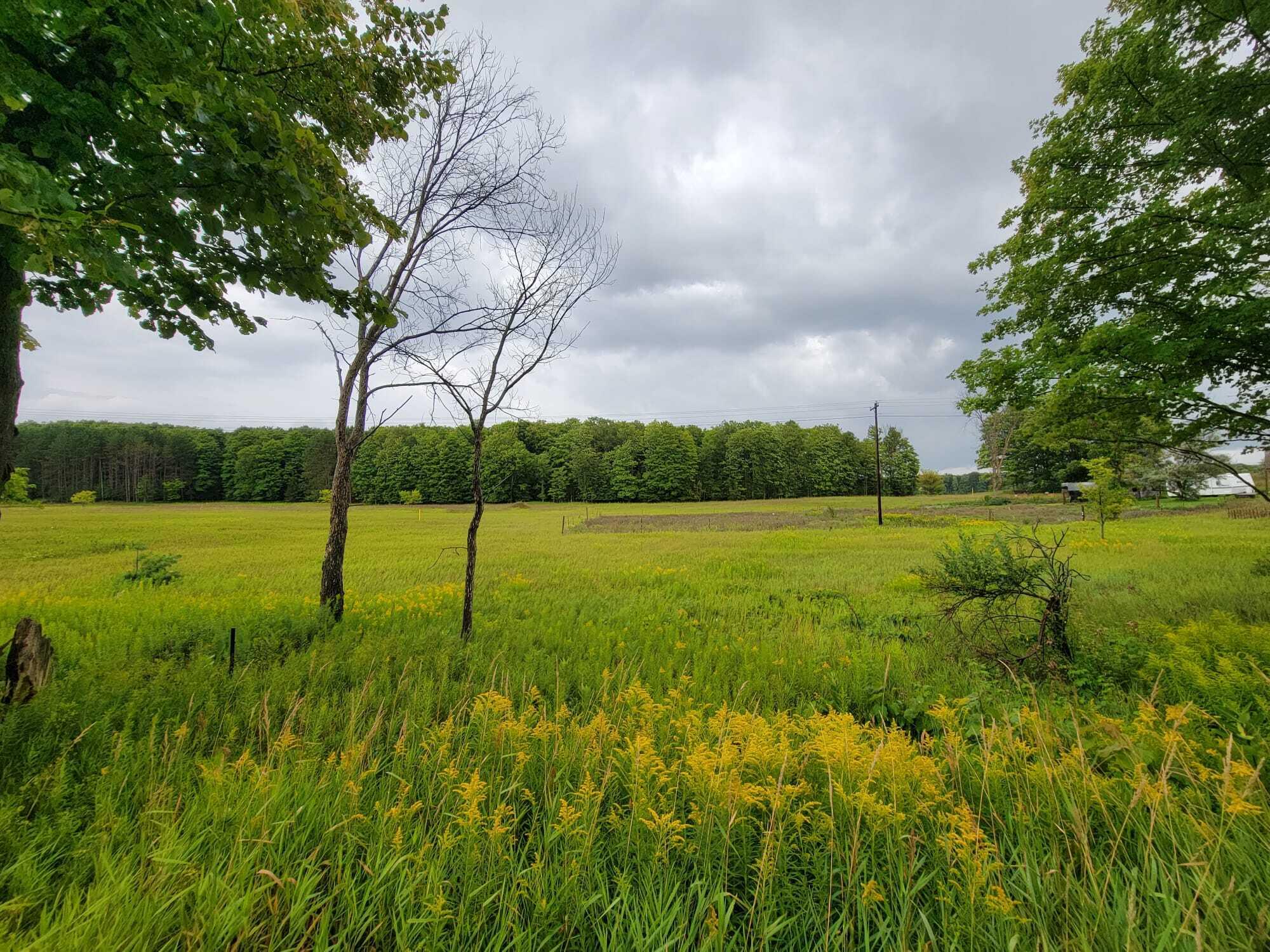 Oley Lake Road Gaylord, MI 49735 - Photo 11 of 11 Gallery Image 11
