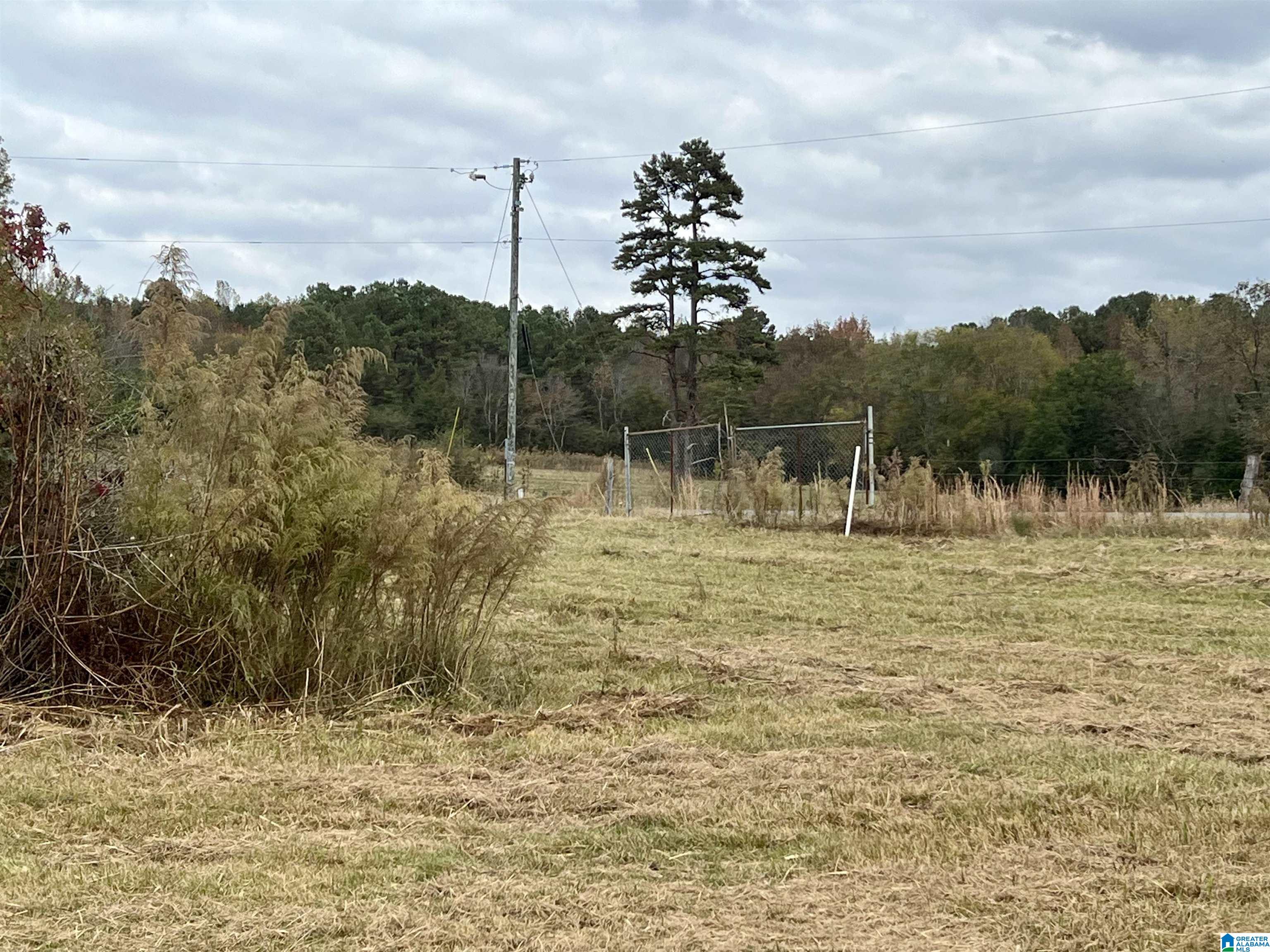 0 Rock Springs Road, Unit 52 24 Warrior, AL 35180 - Photo 31 of 39