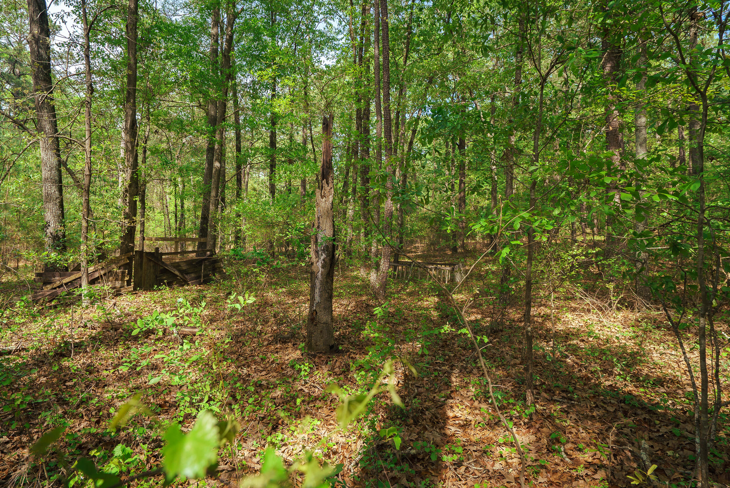 Lot 3 Banks Mill Road Southeast Aiken, SC 29803 - Photo 19 of 42