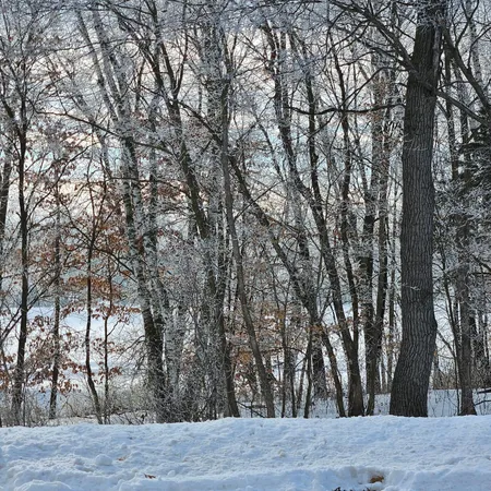 $135,000 | Lot 4-block 1/2 Avenue Northeast, St. Stephen, MN 56375