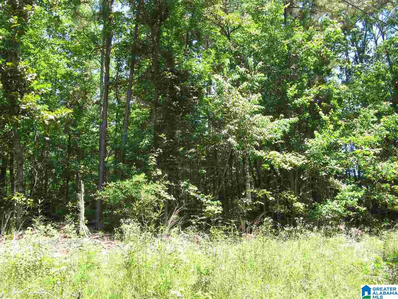 Azalea Road, Unit 3 & 4 Sylacauga, AL 35150 - Photo 2 of 5
