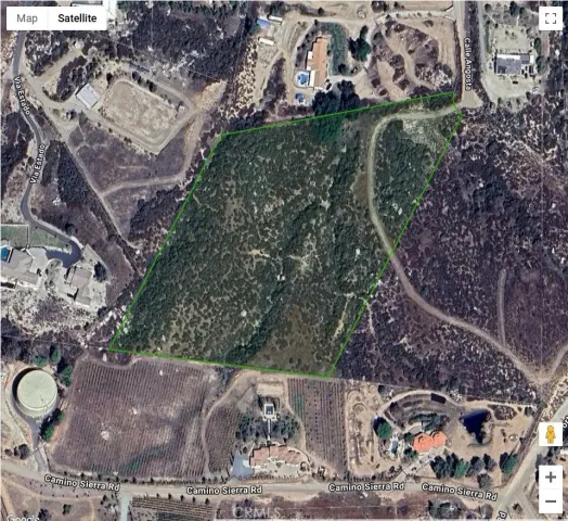 a view of a tree in a yard