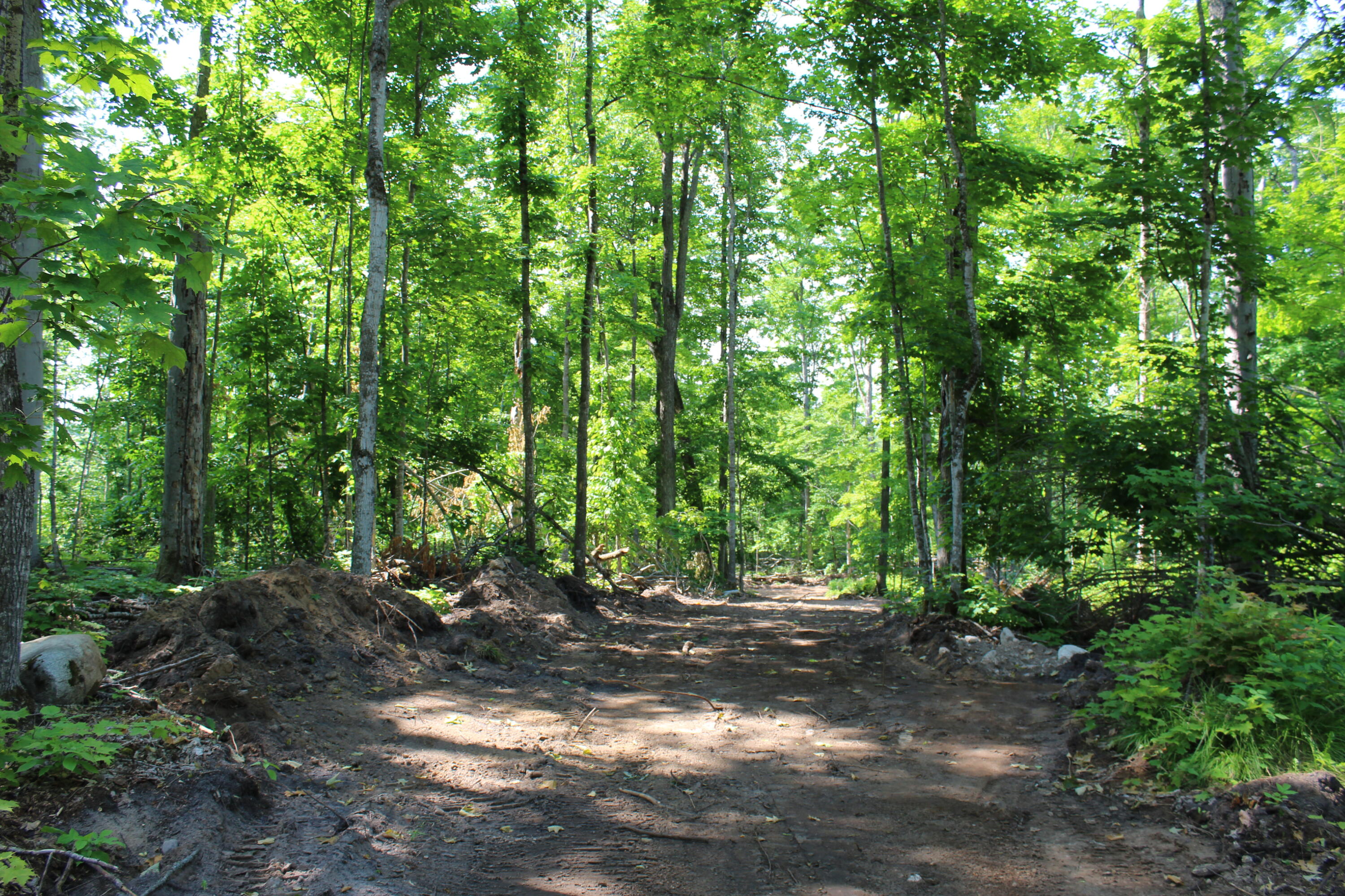 0 McGahn Road Germfask, MI 49836 - Photo 11 of 22 IMG_2443