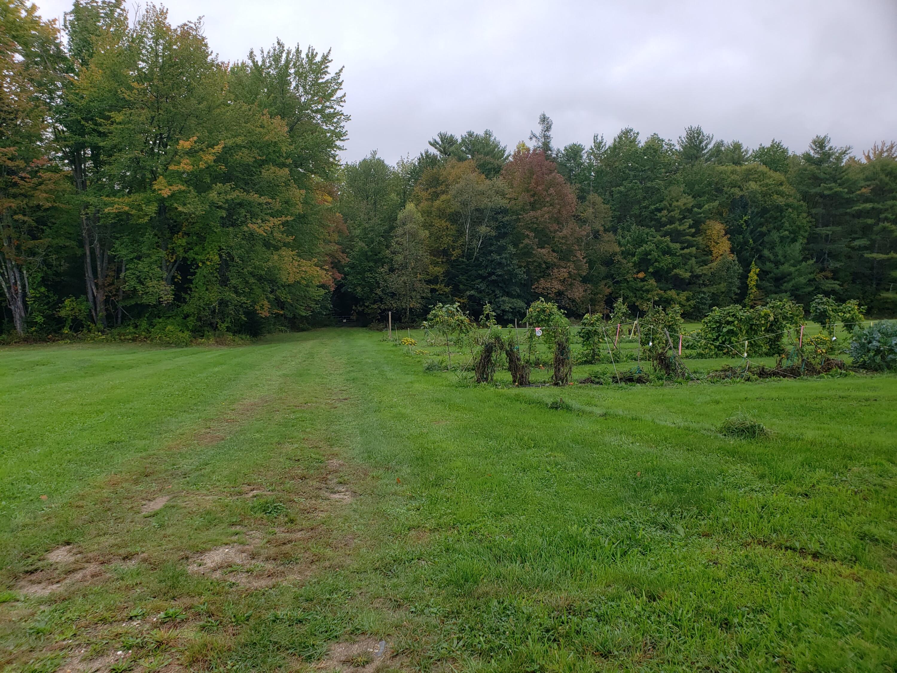 237 Middle Ridge Road Bridgton, ME 04009 - Photo 22 of 30 front field,garden