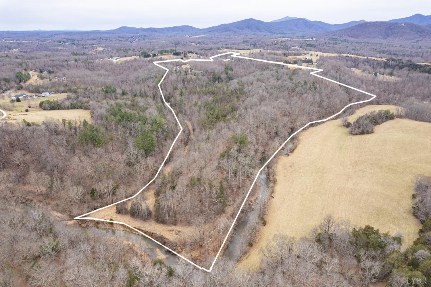 657 Cherry Hill Road Amherst, VA 24521 - Photo 3 of 91