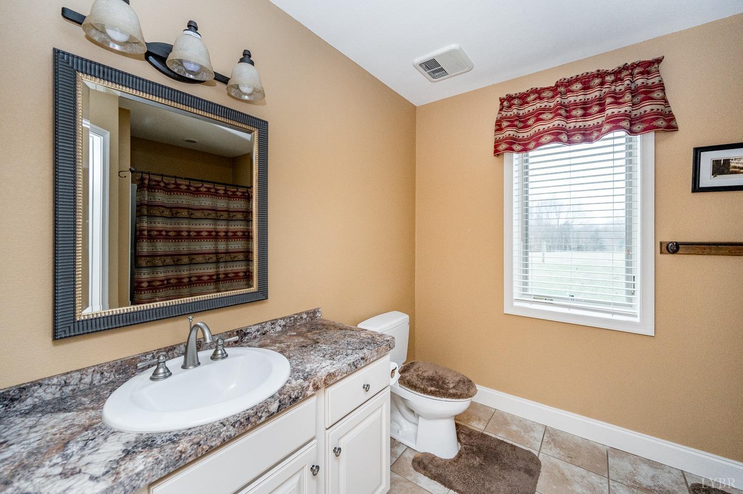 657 Cherry Hill Road Amherst, VA 24521 - Photo 44 of 91 a bathroom with a sink a toilet and a mirror