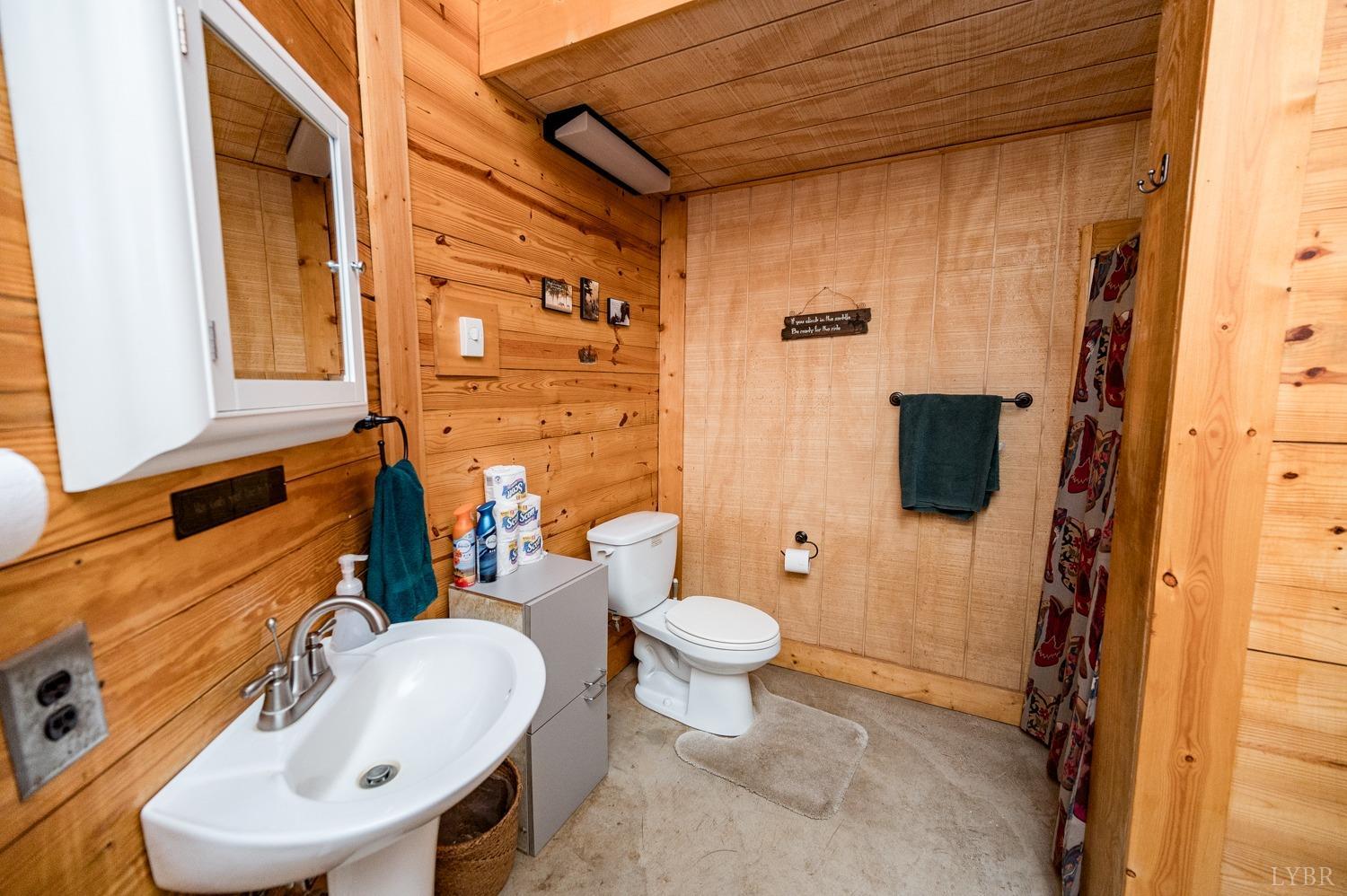 657 Cherry Hill Road Amherst, VA 24521 - Photo 75 of 91 a bathroom with a sink a toilet and shower