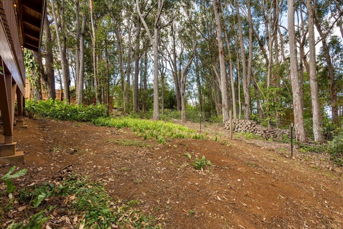 10 Poko Way, Unit B Haiku, HI 96708 - Photo 27 of 37 a backyard of a house with lots of green space