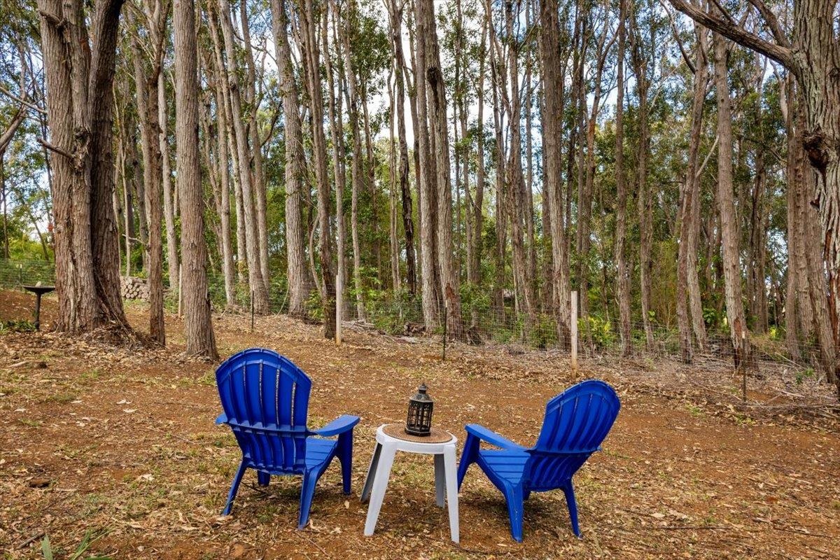 10 Poko Way, Unit B Haiku, HI 96708 - Photo 31 of 37