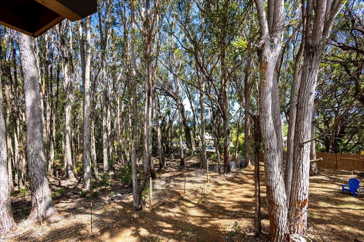 10 Poko Way, Unit B Haiku, HI 96708 - Photo 33 of 37 a view of a yard with trees